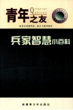 中国小百科全书 兵家智慧小百科
