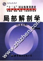 局部解剖学
