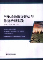 污染场地调查评估与修复治理实践