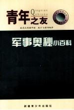 中国小百科全书 军事奥秘小百科
