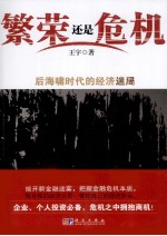 繁荣还是危机 后海啸时代的经济迷局