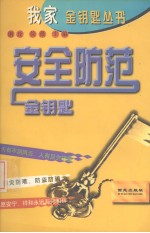 安全防范金钥匙