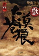 大漠苍狼 绝密飞行