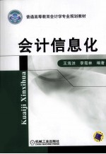 会计信息化