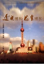 透视浦东 思索浦东