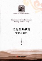 民营企业融资策略与案例