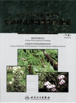 中华人民共和国药典中药材及原植物彩色图鉴 下