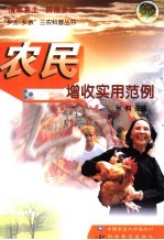 农民增收实用范例