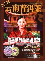 云南普洱茶 2005.4 冬
