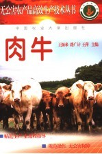 肉牛