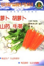 萝卜 胡萝卜 山药 牛蒡