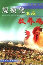 规模化生态放养鸡
