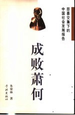 成败萧何 悲喜交集下的中国社会发展报告