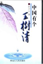 中国有个王树清 报告文学