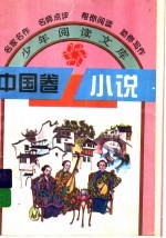 中国卷小说