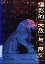 摄影的“天敌”与“良友” 细质点与摄影