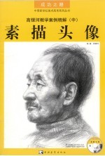 高银河教学案例精解 中 素描头像