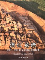 潜江龙湾 1987-2001年龙湾遗址发掘报告 上