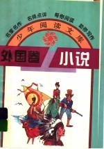 外国卷小说
