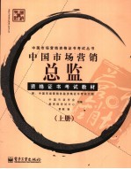 中国市场营销总监资格证书考试教材 上