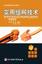 实用组网技术