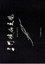 三门峡白天鹅 胡民举摄影集