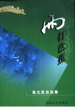 雨打芭蕉 易允武自选集
