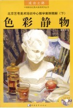 北京艺考美术培训中心教学案例精解 下 色彩静物