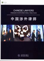 中国涉外律师