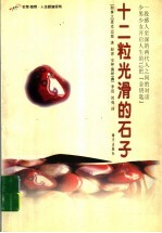 十二粒光滑的石子