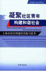凝聚社区青年构建和谐社会 上海市社区团建的实践与思考