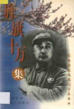 旌旗十万集