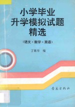 小学毕业升学模拟试题精选 语文 数学 英语