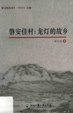 磐安佳村 龙灯的故乡