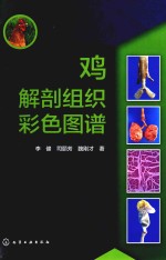 鸡解剖组织彩色图谱