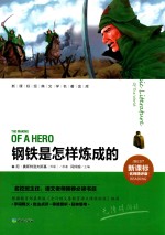 钢铁是怎样炼成的 名师精评版