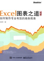 Excel图表之道 如何制作专业有效的商务图表 典藏版