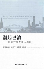 潮起巴渝 西部大开发重庆剪影