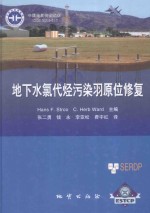 地下水氯代烃污染羽原位修复