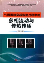 气固两相穿越液池过程中的多相流动与传热传质