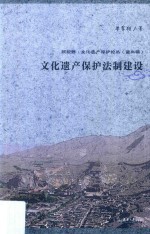 新视野·文化遗产保护论丛 文化遗产保护法制建设