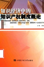 知识经济中的知识产权制度概论