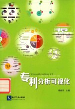 专利分析可视化