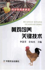 黄鸡饲养关键技术