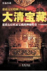 大清宝藏 2