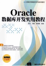 Oracle数据库开发实用教程