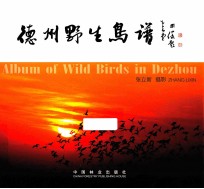 德州野生鸟谱