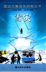 雪灾