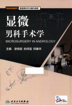 显微男科手术学