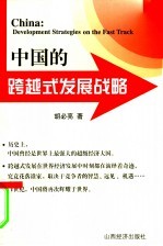 中国的跨越式发展战略